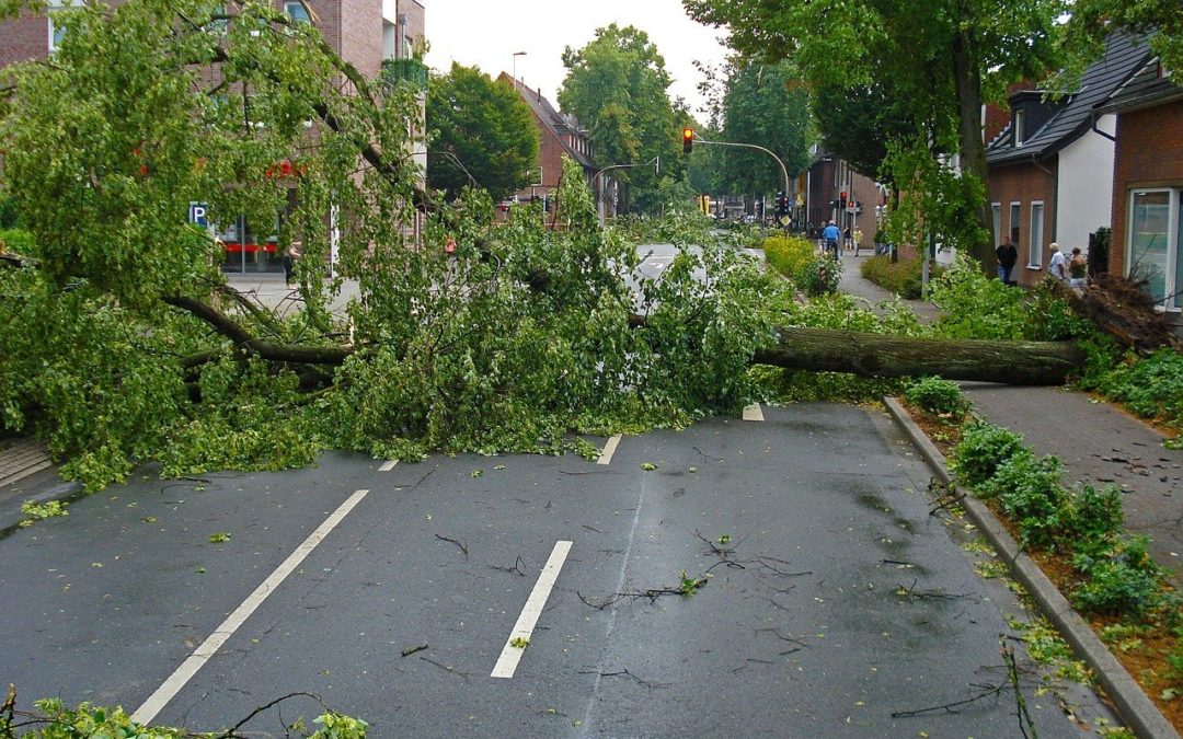 How to protect your home from storms | Liberty Siqueira ￼