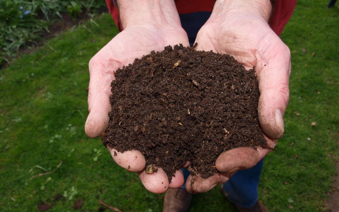 What to Do With Garbage on Cape Cod