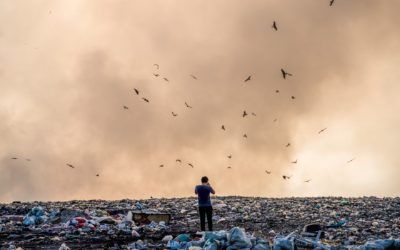 ￼What to Do with Garbage on Cape Cod | Liberty Siqueira