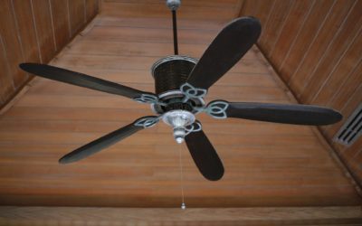 ￼Ceiling Fans: How to Keep Them Clean and Why | Liberty Siqueira